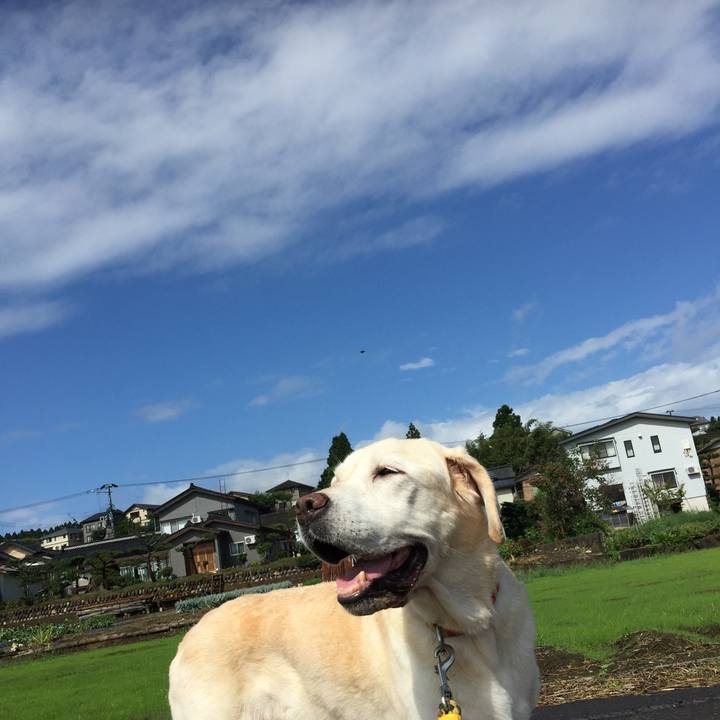 0a8e2de3 223a 4a7b 9a43 5b1381413434 1560814920107