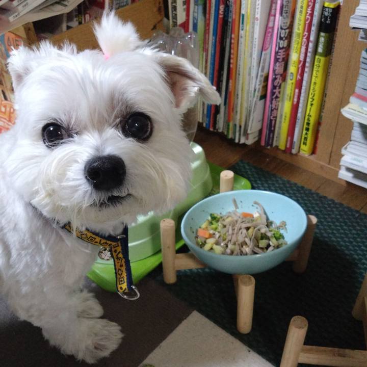 0a8e3fc1 812c 4e6c a5d5 1ee90d35661c 1704022512682