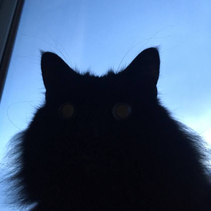 0a8e505b be62 46e8 9ab9 d51668833e5c 1548380508374