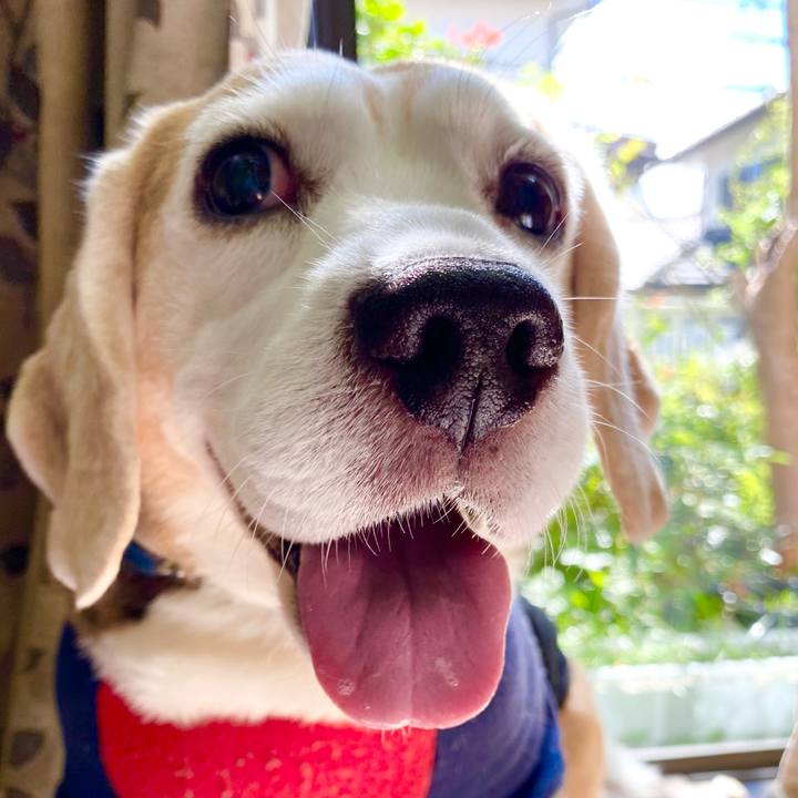 0a8e5a7a 4bb6 4167 930f c968dd41747d 1602388100089