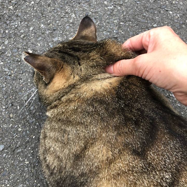 0a8ed843 ed55 4793 b3de 441a3d8860e6 1560589298270