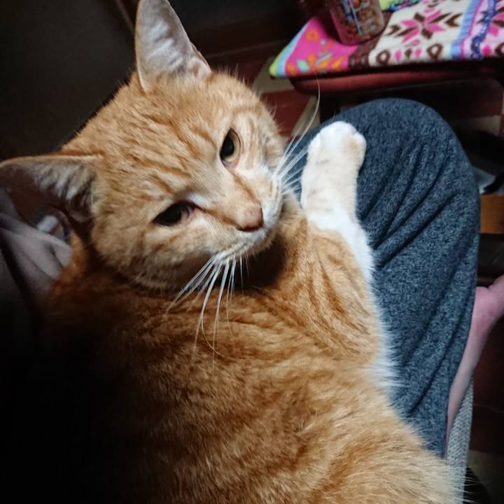 0a8ed8be 0dad 4041 8447 7d3f37953c6e 1578428955043