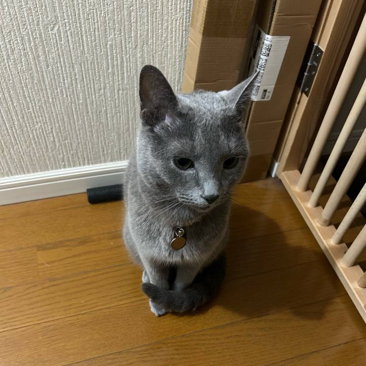 0a8f2b9d 73e5 4cf2 8f5e c804d97906a5 1752847623571