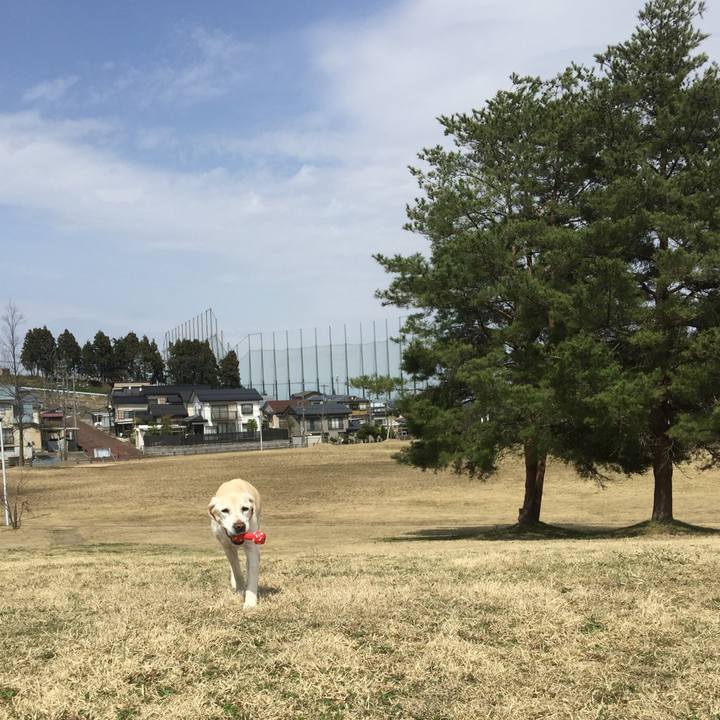 0a8f5b07 e105 40b3 80ec a3406b63317f 1522815498814