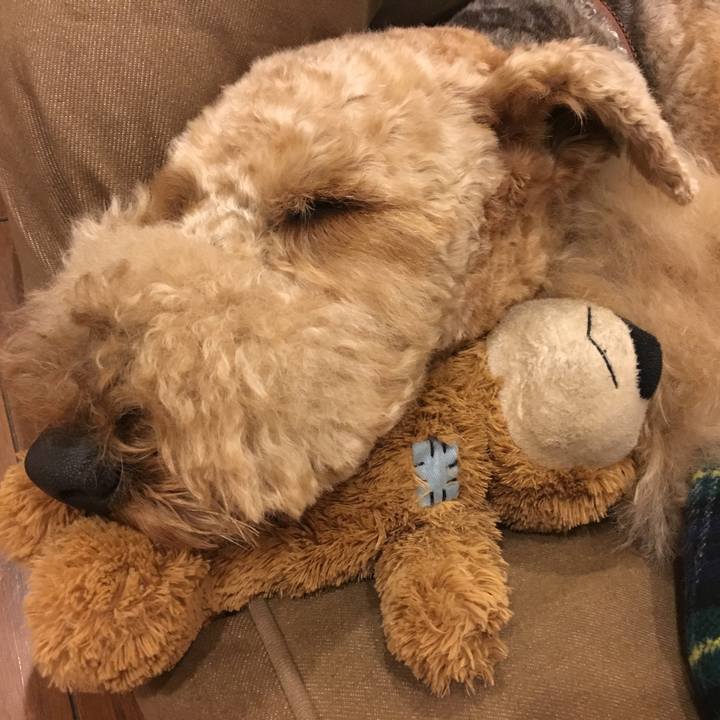 0a8f74c2 6a6f 4c19 8b7d cc38ffbb09ca 1548503815865