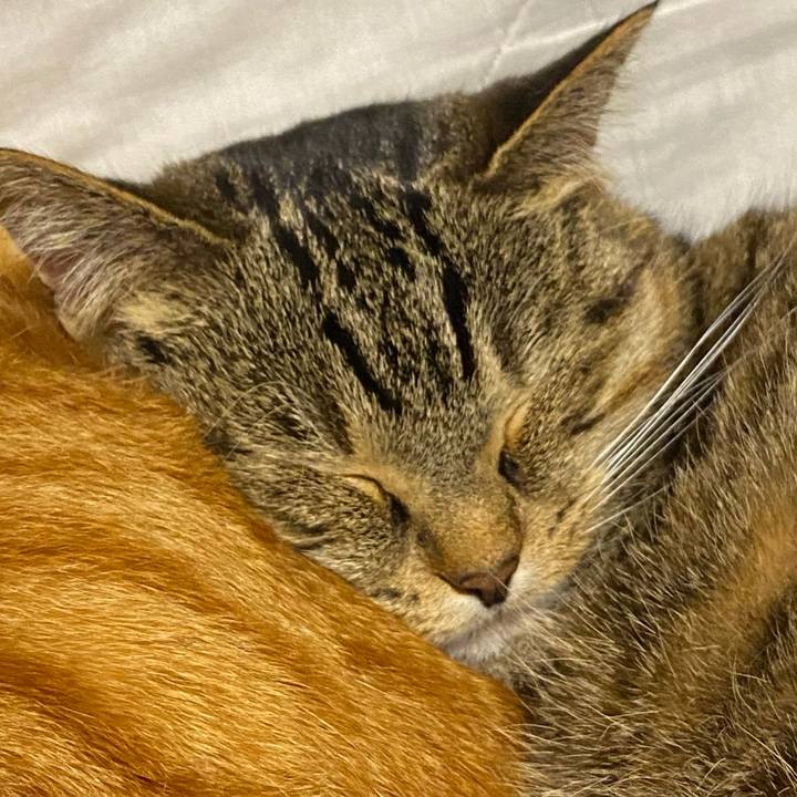 0a8f910d 6075 4dc1 8a3e 445d9ddd0b30 1617973895165