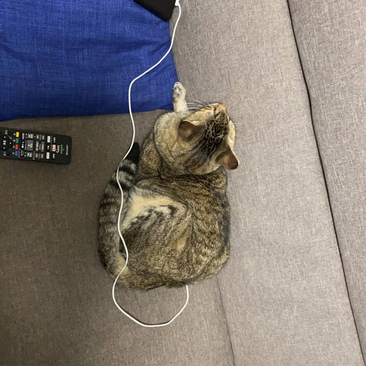 0a8fada9 b7c8 4edb 91ed cdb826784194 1602918811622