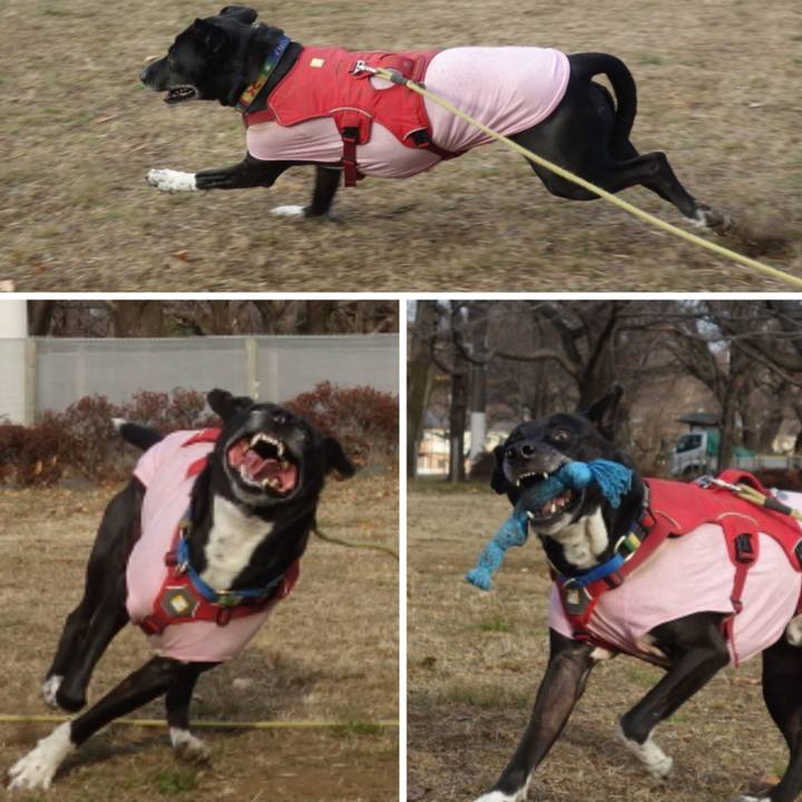 0a8fdd22 e1f9 48ff 8a44 e8e09baafa75 1675476080312