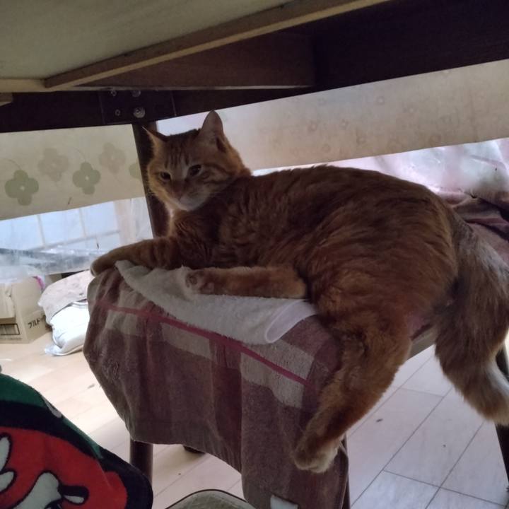 0a8ffab5 e5ab 4c01 801a be079d8a30da 1674599765061