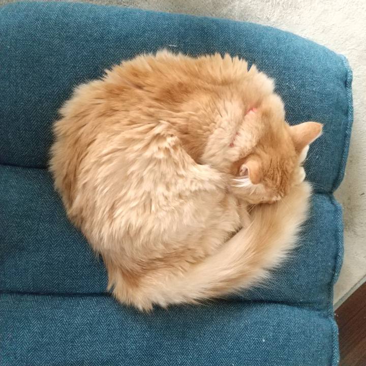 0a900bd6 01b4 4968 9fd3 54756006bbcd 1629529975124