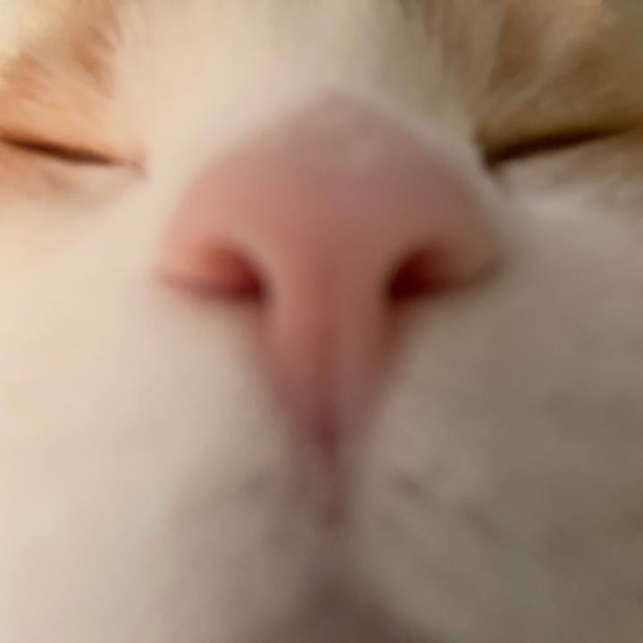 0a907c0a 794a 4530 a354 5d89d870d0f1 1700027558446