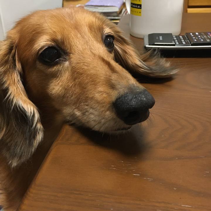 0a907c3f bf07 4c15 9f89 1b73e34cf140 1574599552717