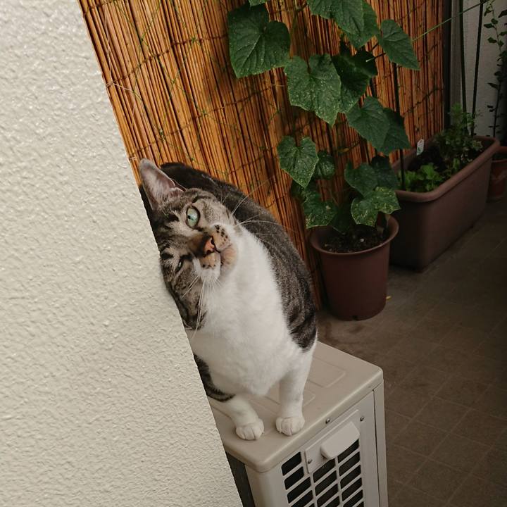 0a9104f1 8b6c 40ef bd77 14c569d12659 1562277475521