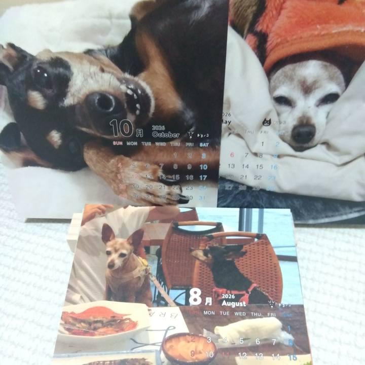 0a9127fb 4bb0 4a30 936b 34689f4c2695 1764246786712