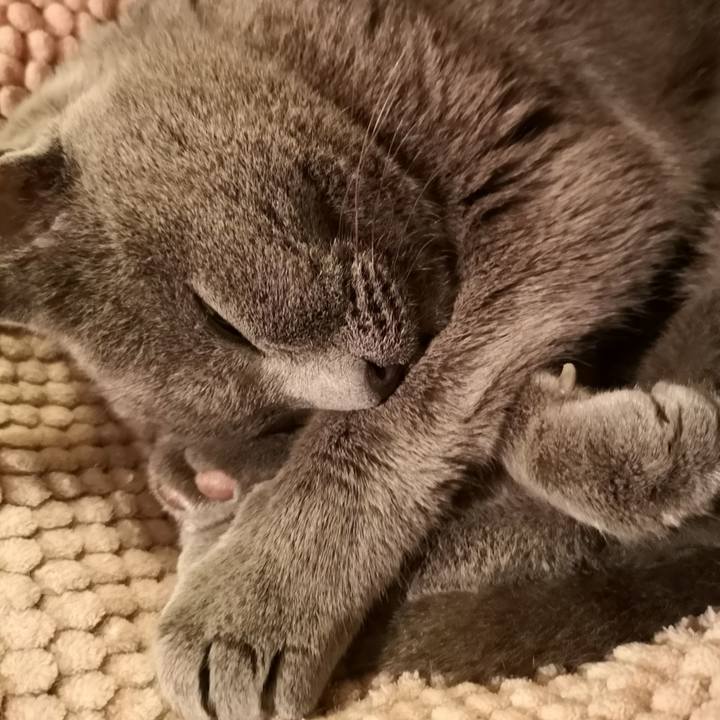 0a914817 43e0 4df7 af8a a510c64d8214 1599908046136