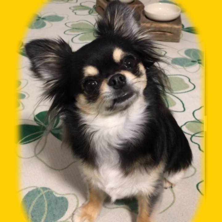 0a915153 2054 44b8 bf4f e37d6dd42baa 1587422689623