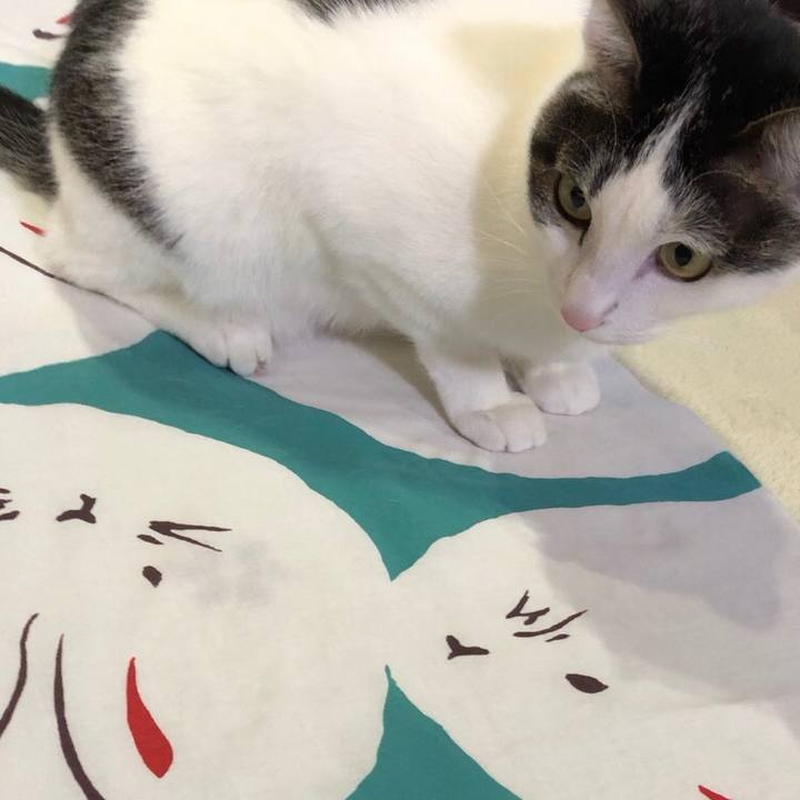 0a915511 afc0 4cfc bb20 d4a3c4fc05fc 1672537653282