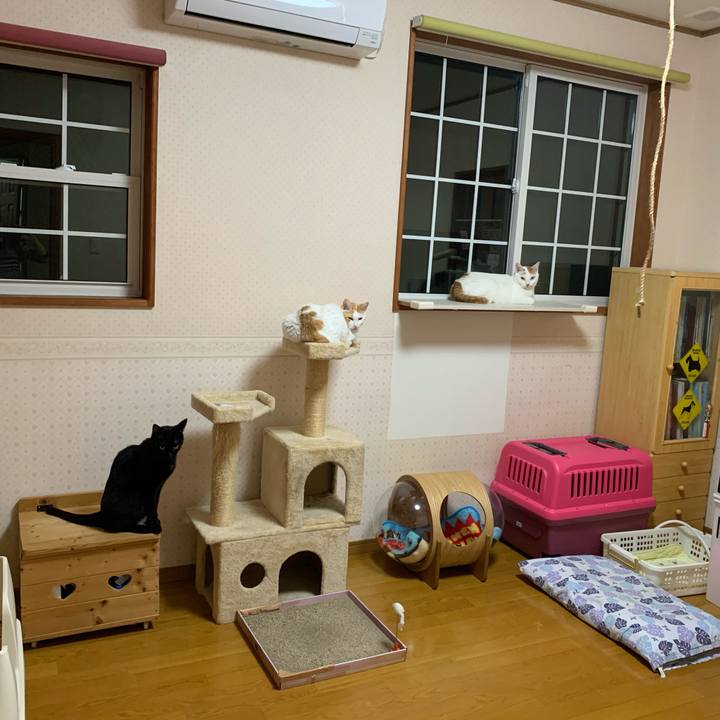 0a918923 86f5 4b53 becc bedd27a7add3 1634382442497