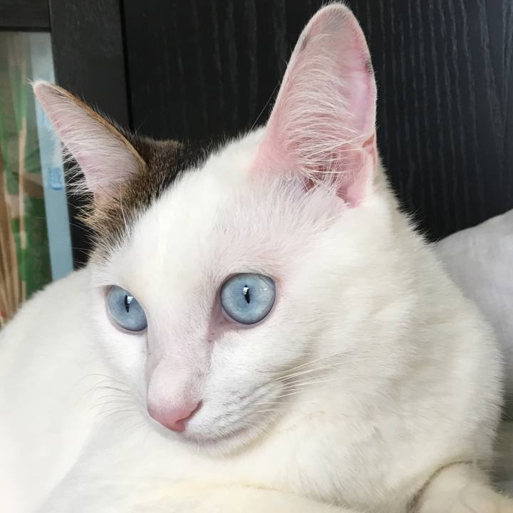 0a91cc24 c77d 41f1 a169 0cc79b96b636 1524890268236