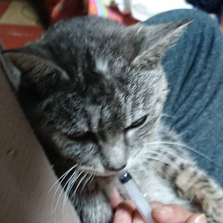 0a921e48 a77b 4d71 b517 5211512430b9 1579122923219