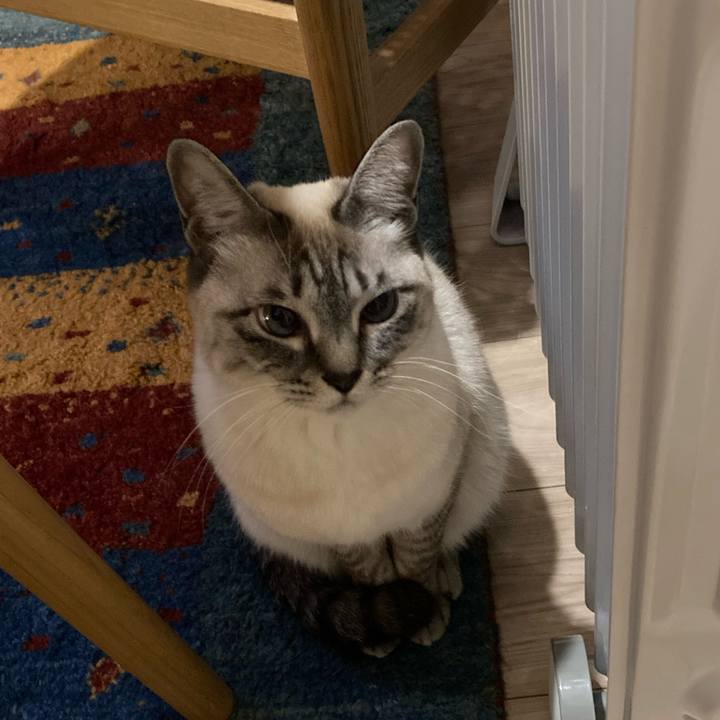 0a922e26 4413 42b6 8ab2 00faec93ba1f 1674107205373