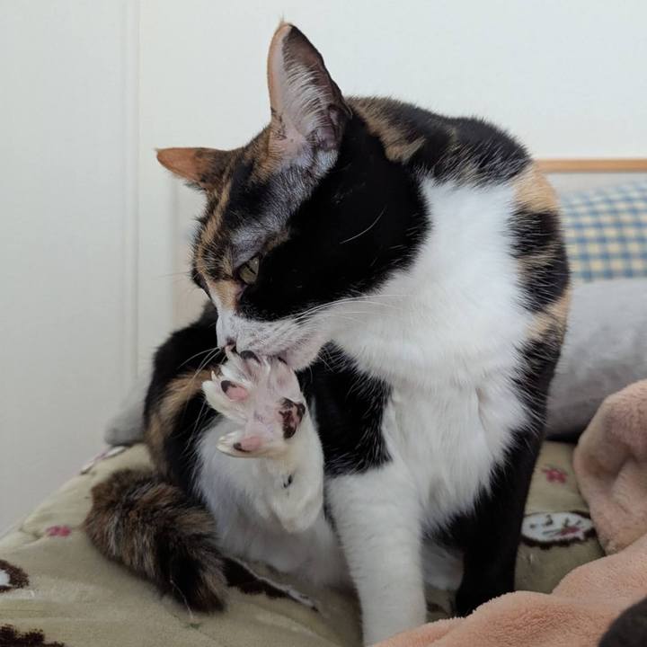 0a926092 be5e 49ef a449 71f6310c0830 1770850970841