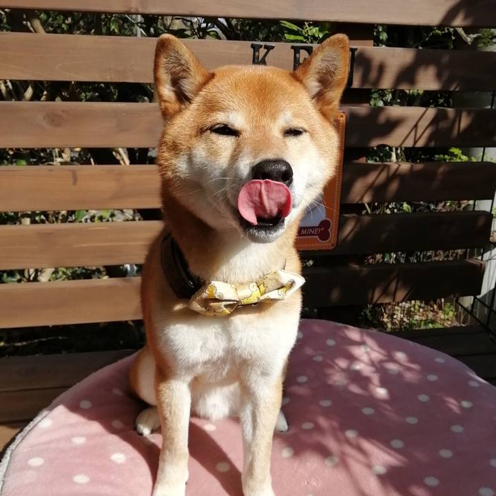 0a92af20 61f3 4679 9096 5782ec5770df 1616565386469