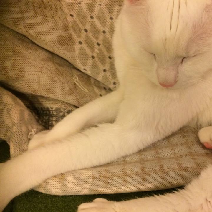 0a937519 f279 44ad 8ac4 0915c09ffddd 1527594028137