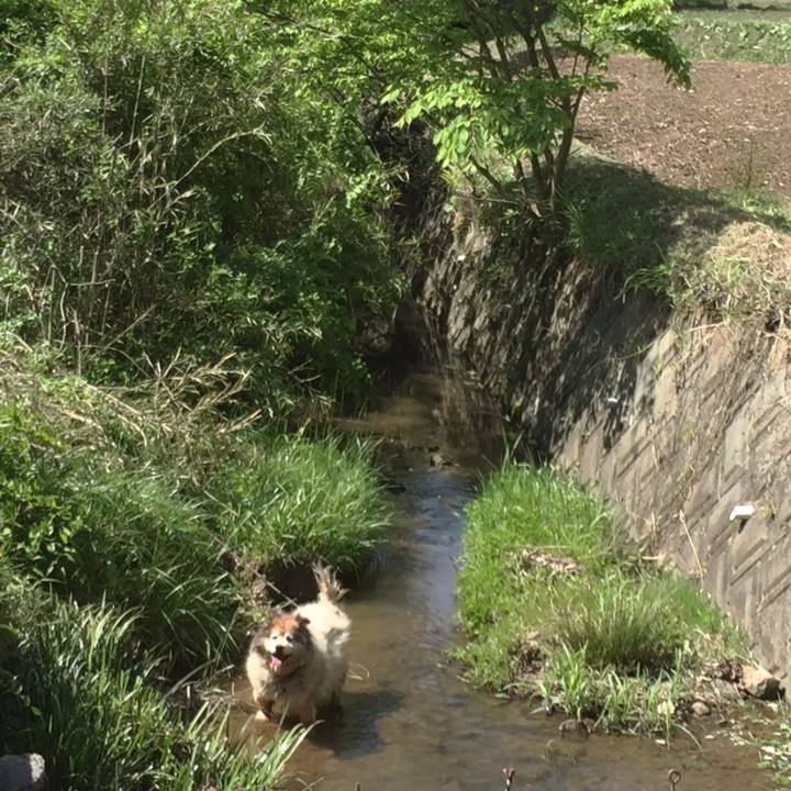 0a937fd5 3d44 4680 a5e0 ee03837eea23 1631510891377