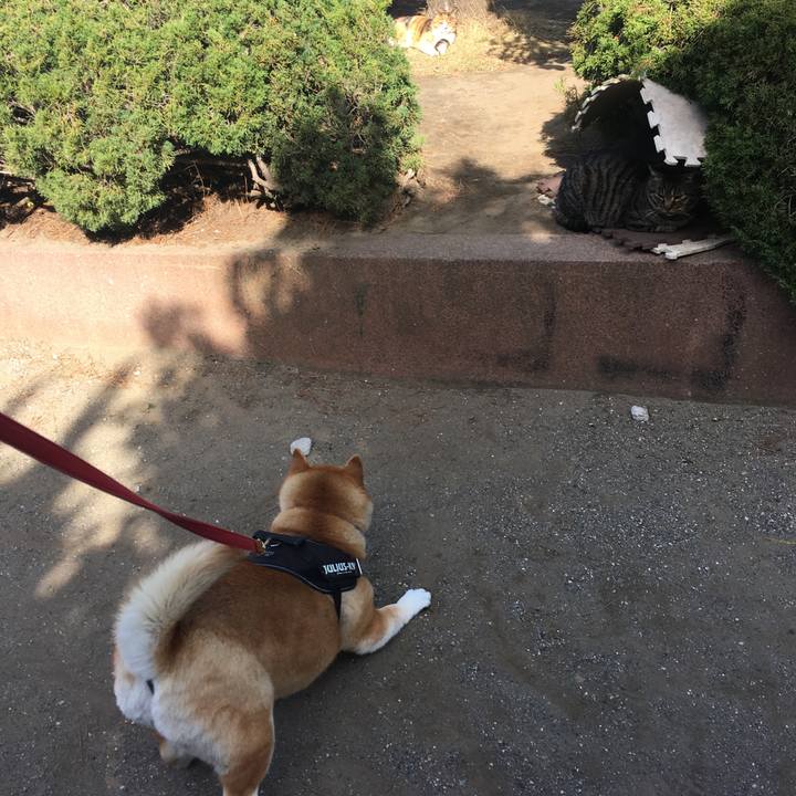 0a93801d 93eb 416c b4d6 d06687857de0 1616027948437