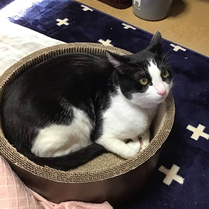 0a9399b0 ad25 47c7 b1b9 e487f6041069 1710062347292