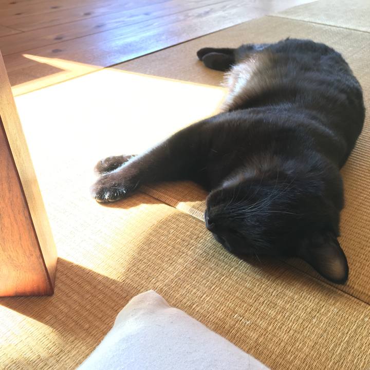 0a939c28 761d 46d5 9914 d07f1b87b418 1511057151884