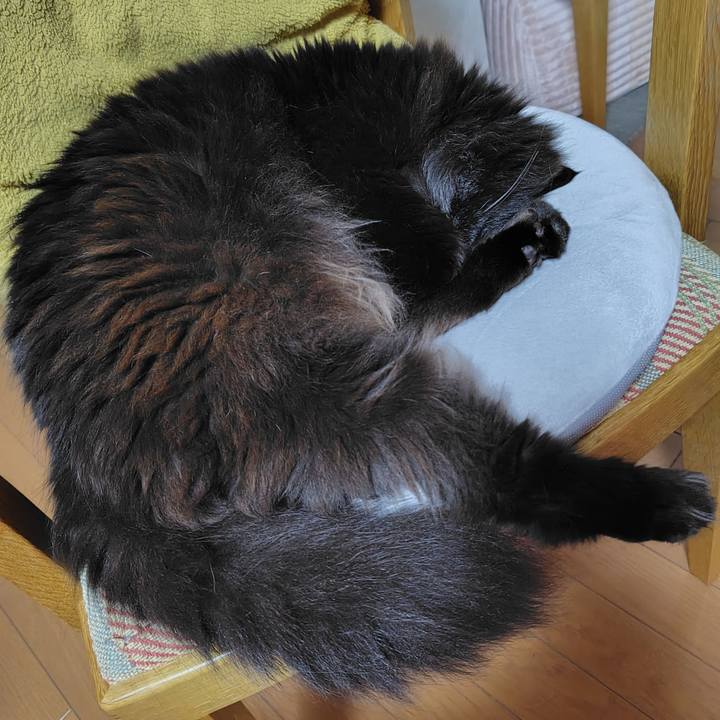 0a93ee9d b179 4922 9d3c d2e97441eafa 1747398683949