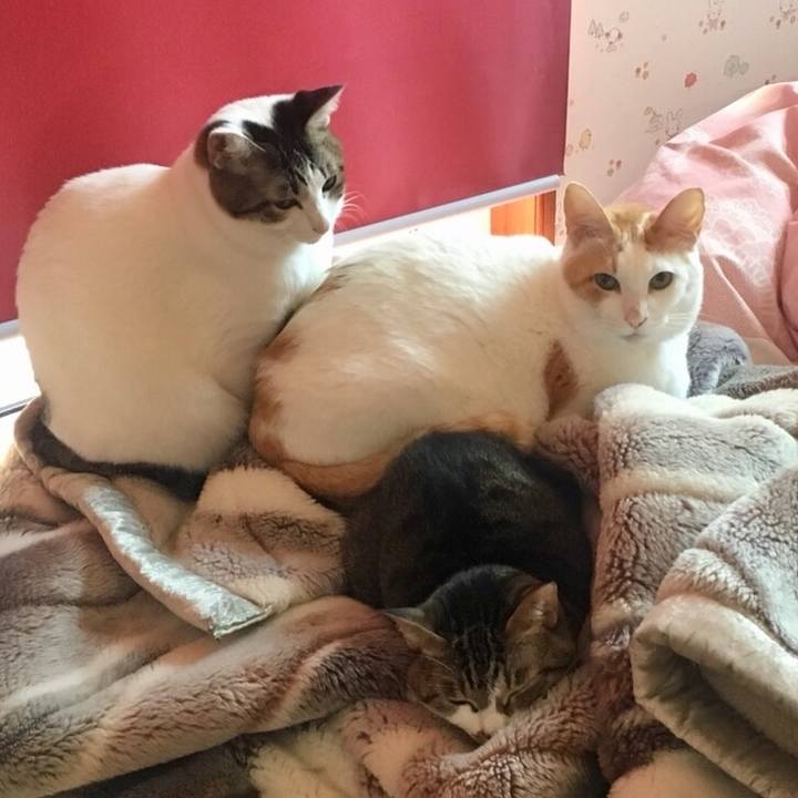 0a944207 c388 40b9 8e57 6fb1ade1de08 1521951425777