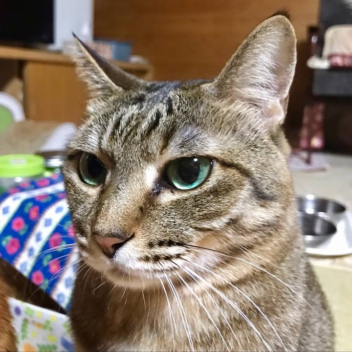 0a9470a8 05b5 4f65 aac9 fba0f7f6ae50 1553345752945