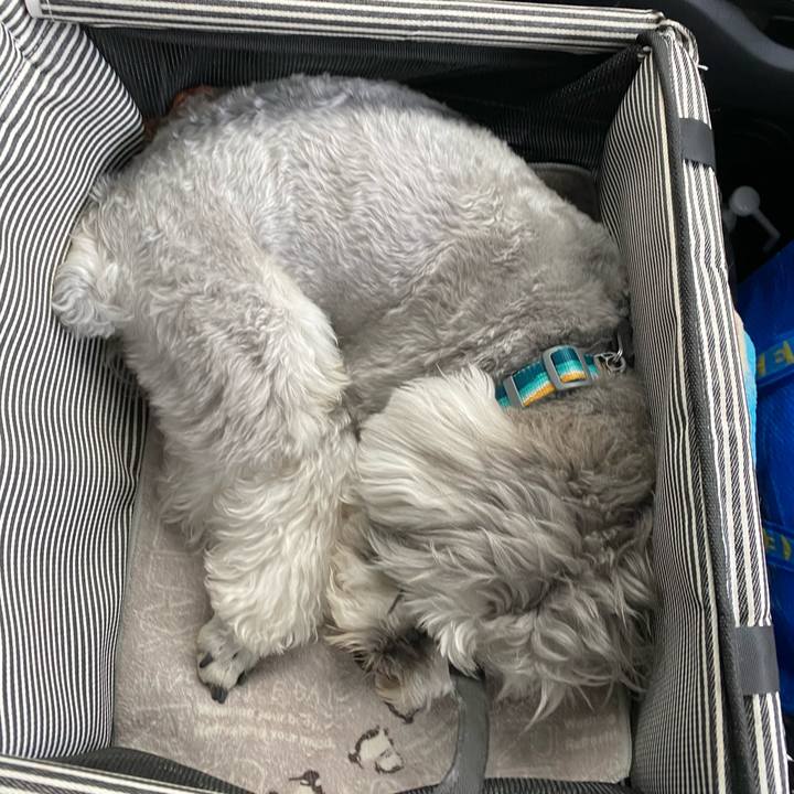 0a947a53 6d22 440c 96d2 2b27242ff2a5 1649692776883