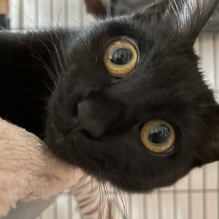 0a94a46f eecb 4e01 9c7d ba47284c7767 1669545886271