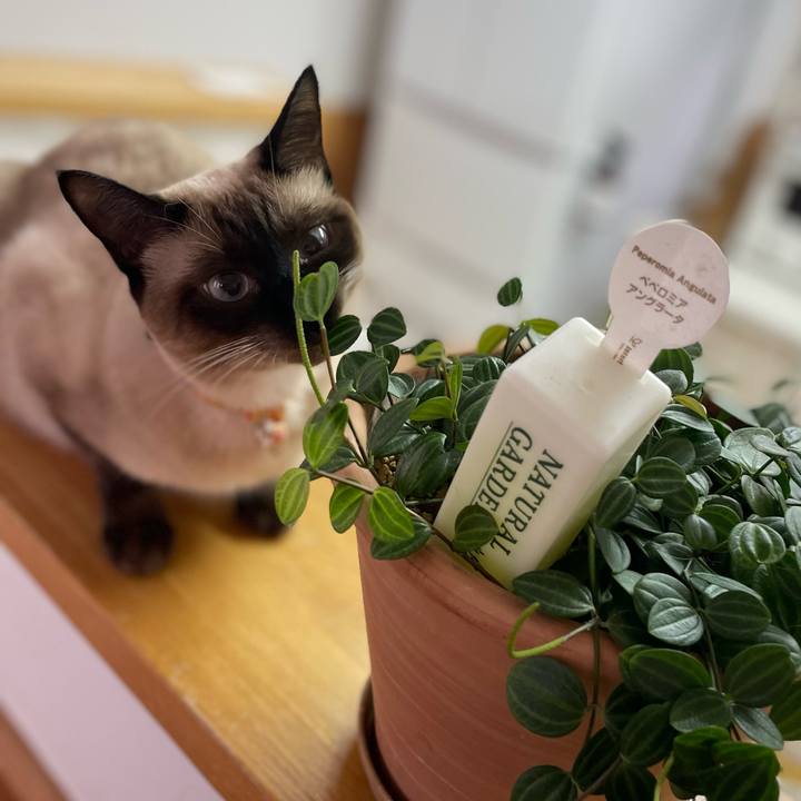 0a94a5f2 dbeb 431b a7ee eba486d3af15 1724532429208