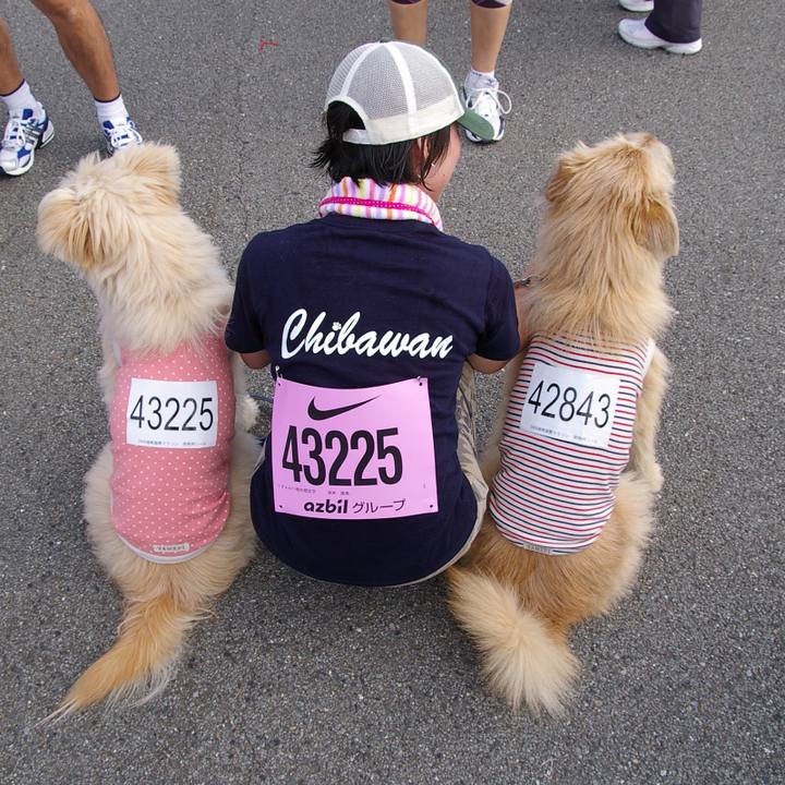 0a94b928 cee8 4a6e 80e2 ad5ebbe71f1a 1536099172293