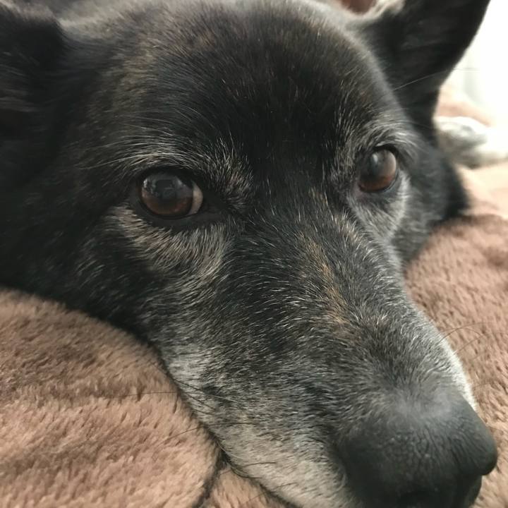 0a94e950 0bd2 47ec a0d3 4ba7876ee68f 1510922174162