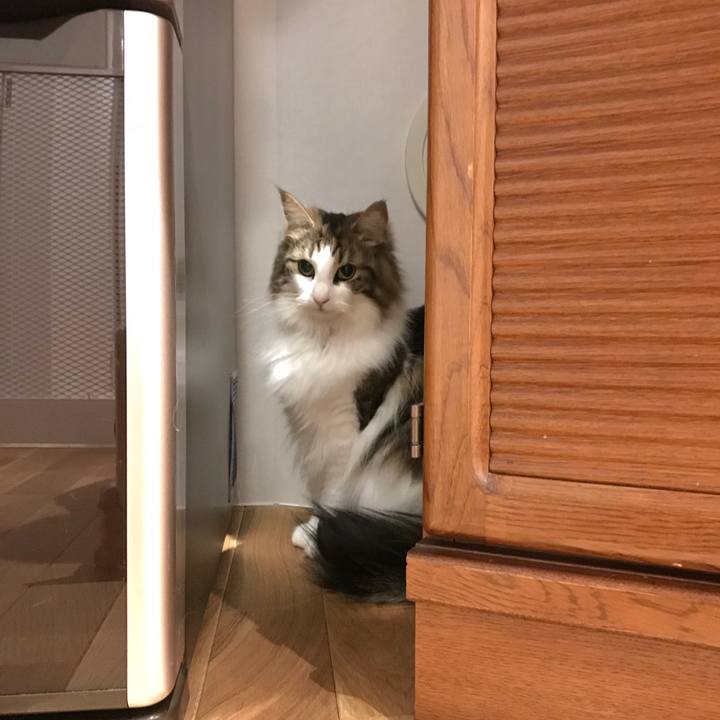 0a94f651 3948 462b a69e 614f9888492d 1524569532756