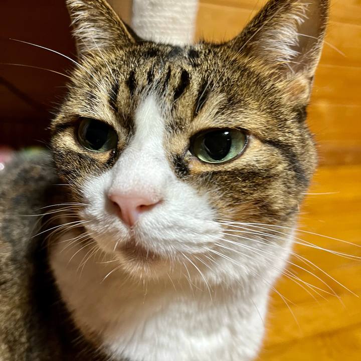 0a94f759 67a7 41e4 ae41 abf46a58ba40 1696075468491