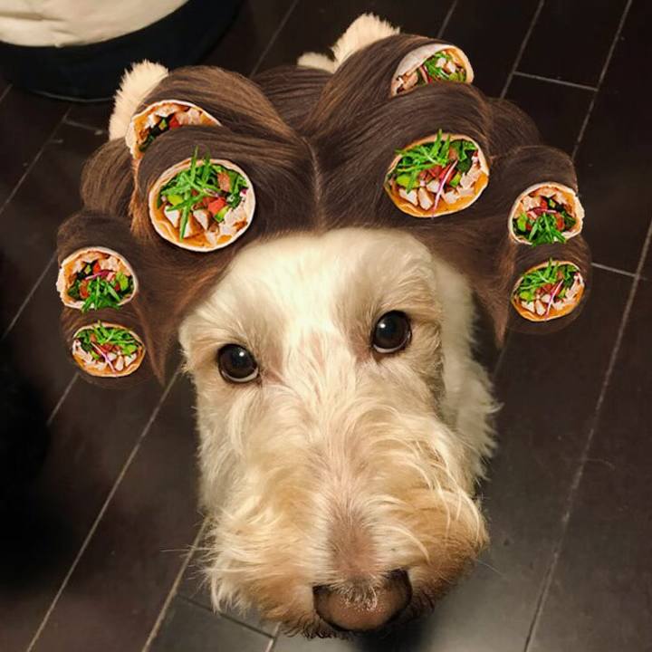 0a951ddf a09c 4c41 9626 4d43b39d6954 1563363513723