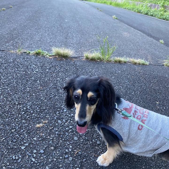 0a95690b 56ae 4fcc 887b 65388e5a0933 1722295169475