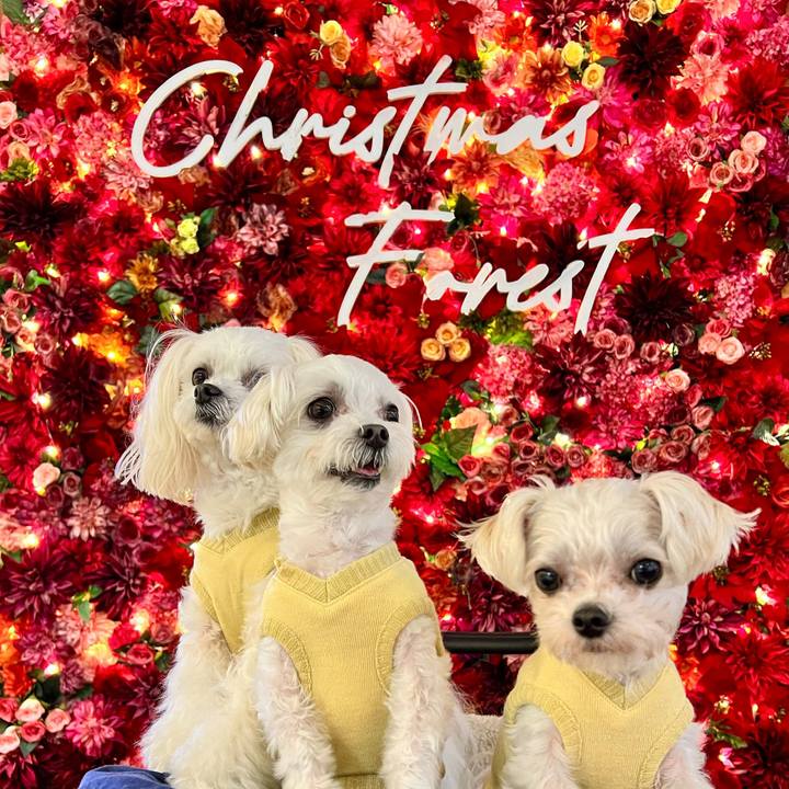 0a95af88 67c0 4082 a352 4fa59d39dc1d 1670405172303