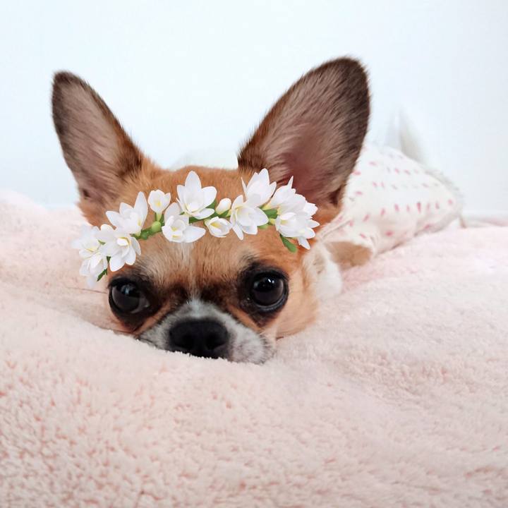 0a95b1cd dbb7 4864 a65a e31fdd577c51 1567639609669