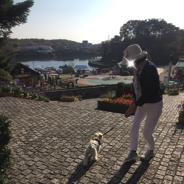 0a95b27f cdaf 4302 81ef c236c6116fbd 1509364506338