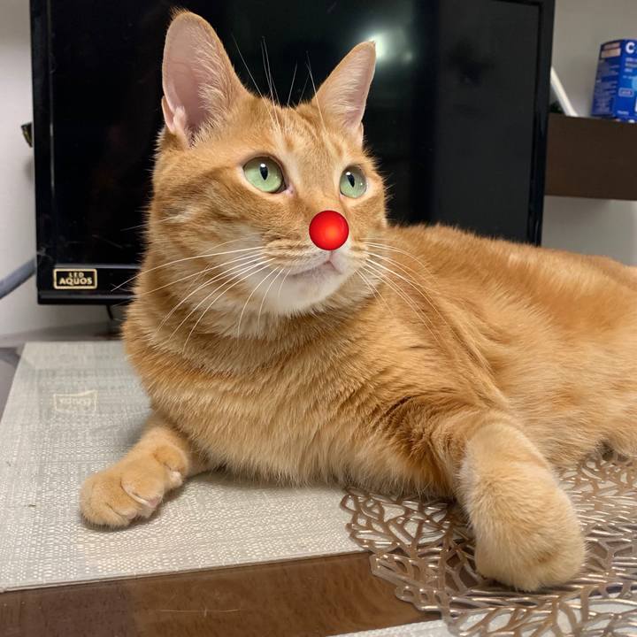 0a95ce0a a3fd 4bcc 8516 df38d98cb115 1629681051031