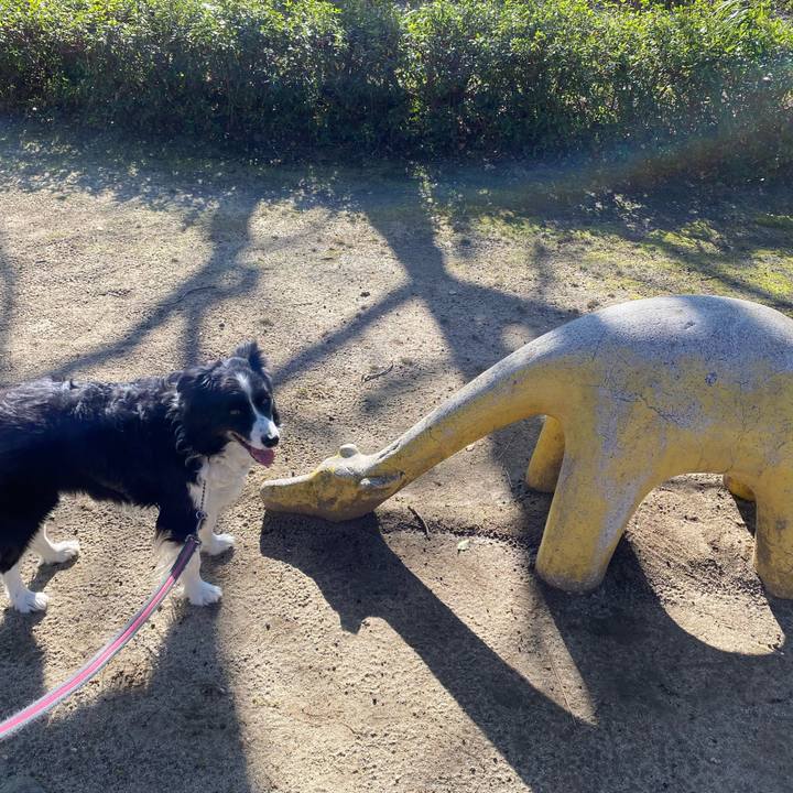 0a95d4ea 9f98 4eb0 b461 387c7c1f8d68 1644820953990