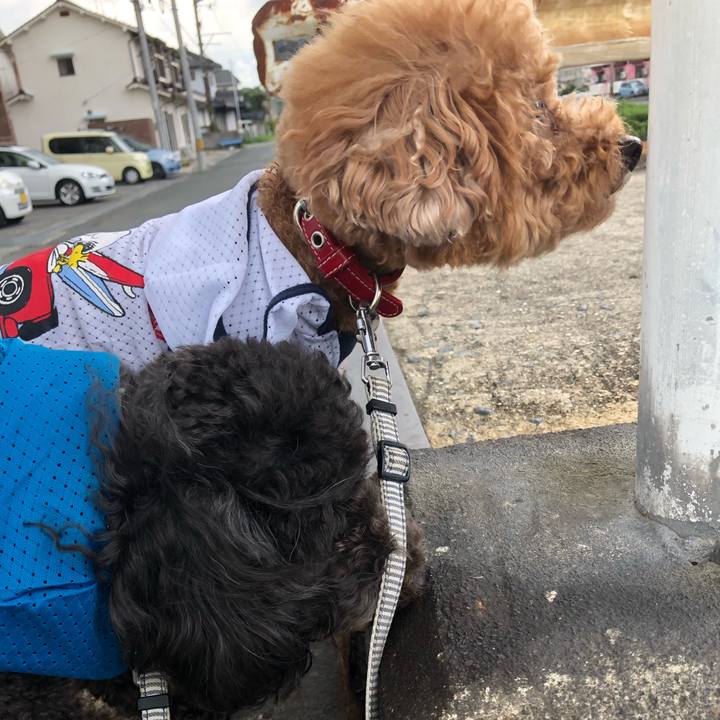 0a962c2a 9342 4143 952a 7d07cec5fae6 1598598883488